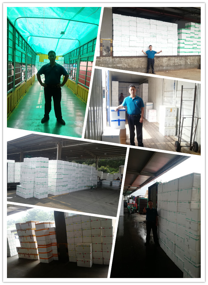 rb88随行版-rb88手机随行版登录入口