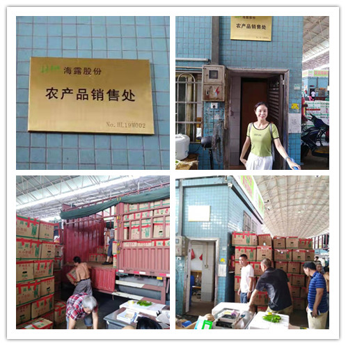 rb88随行版-rb88手机随行版登录入口