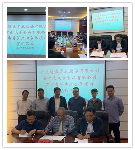 rb88随行版-rb88手机随行版登录入口