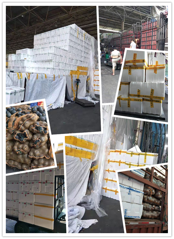 rb88随行版-rb88手机随行版登录入口