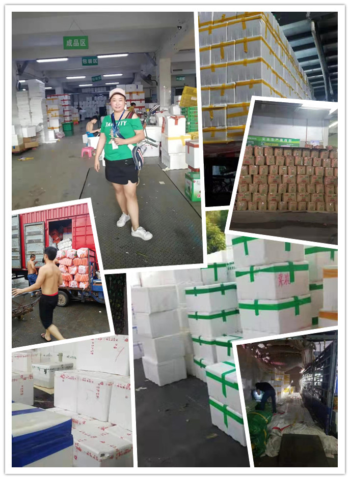 rb88随行版-rb88手机随行版登录入口