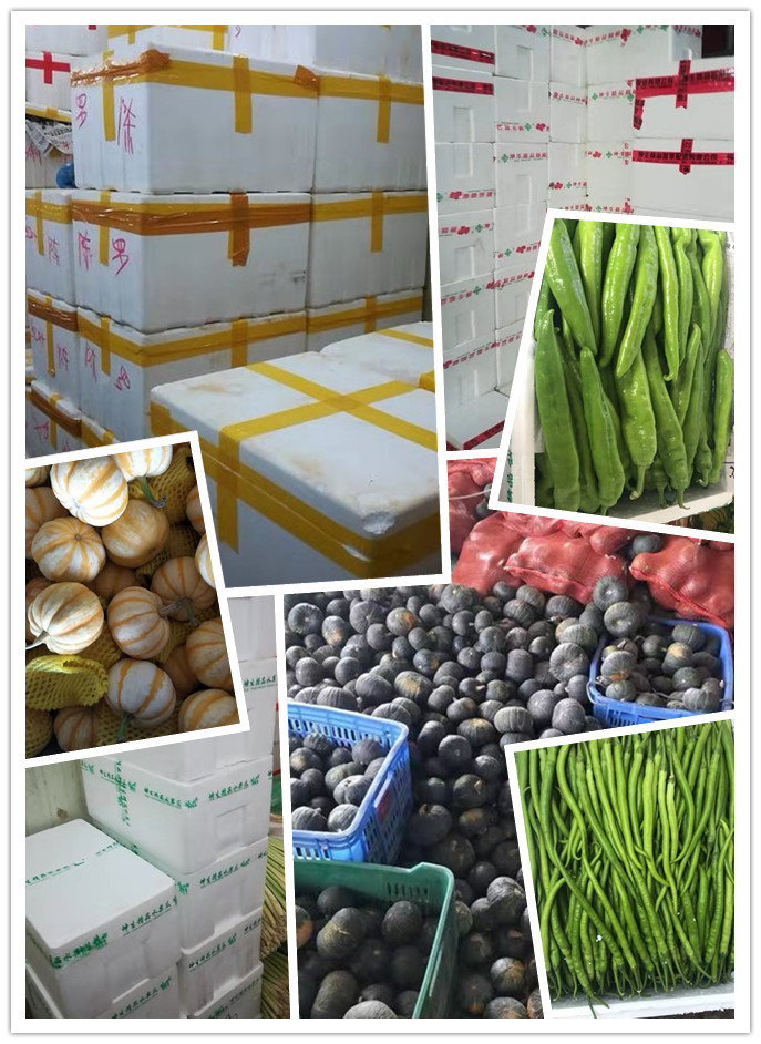 rb88随行版-rb88手机随行版登录入口