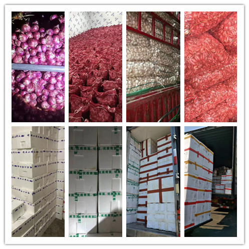 rb88随行版-rb88手机随行版登录入口