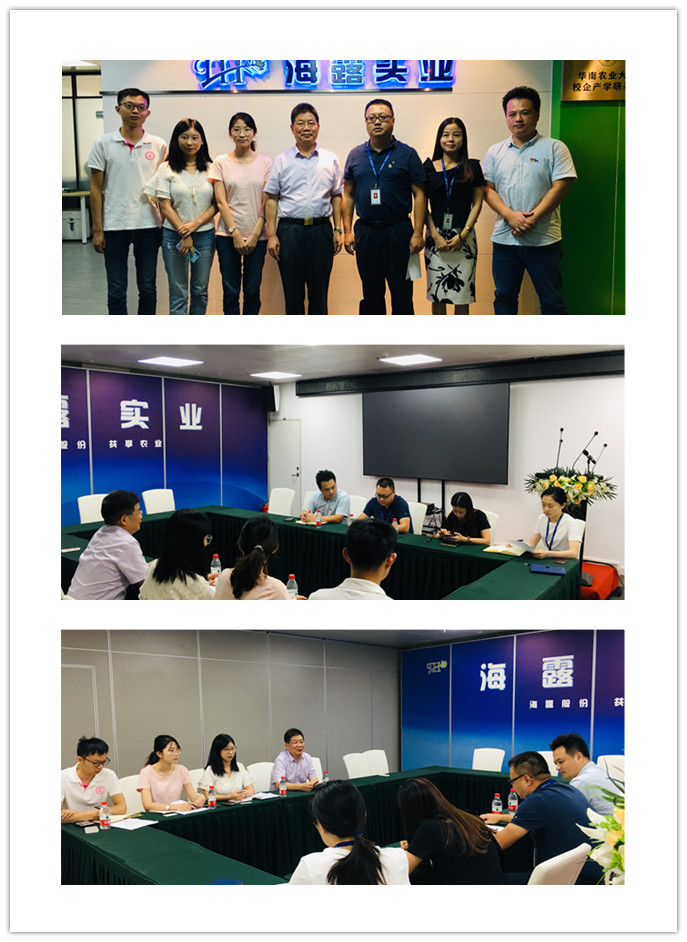 rb88随行版-rb88手机随行版登录入口