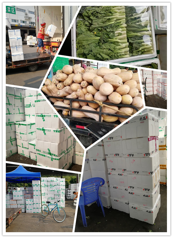 rb88随行版-rb88手机随行版登录入口