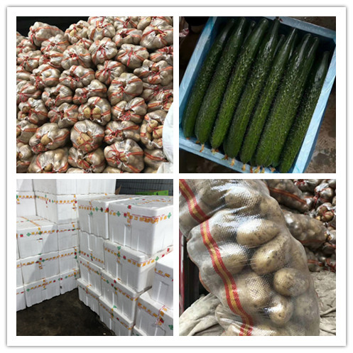 rb88随行版-rb88手机随行版登录入口