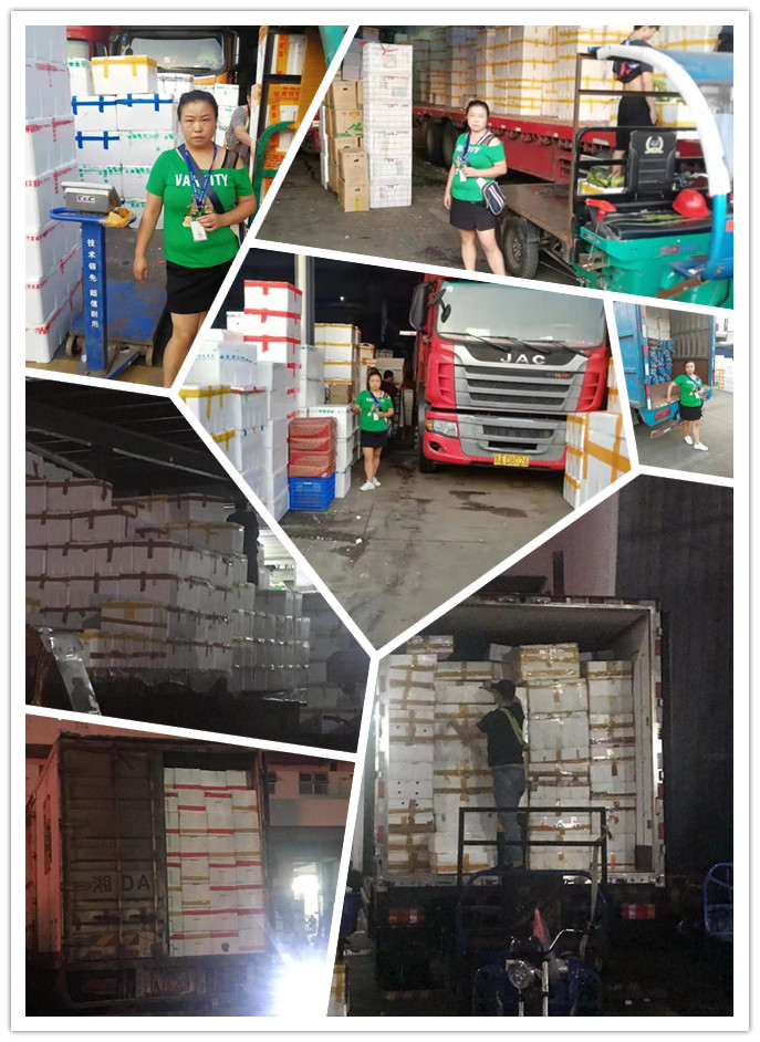 rb88随行版-rb88手机随行版登录入口