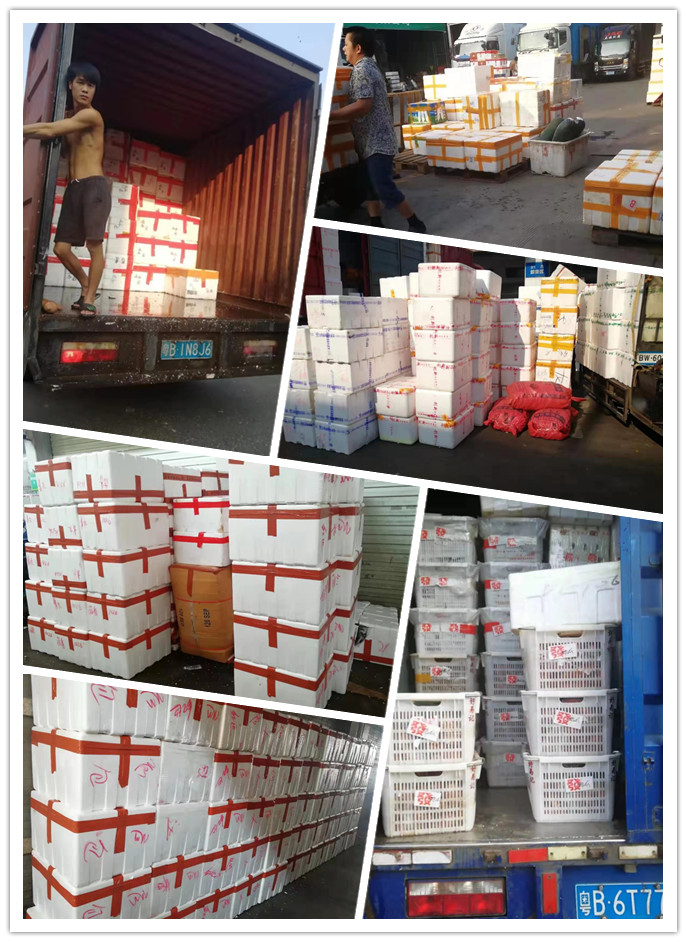 rb88随行版-rb88手机随行版登录入口