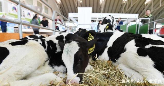 rb88随行版-rb88手机随行版登录入口