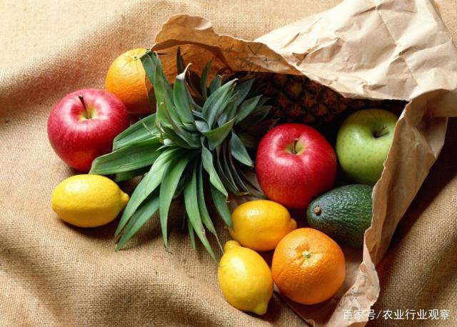 rb88随行版-rb88手机随行版登录入口