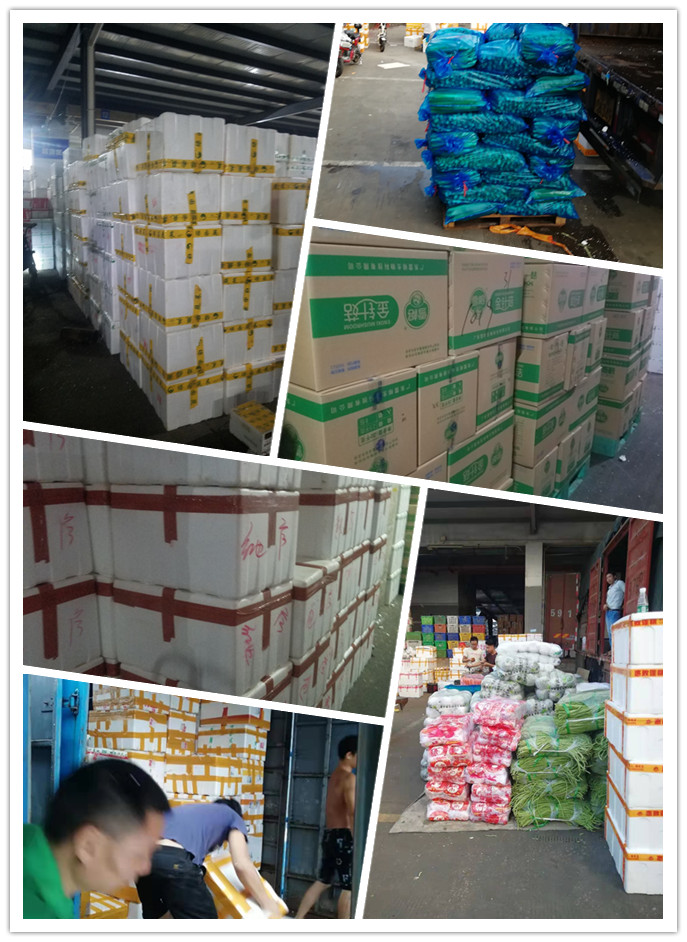 rb88随行版-rb88手机随行版登录入口