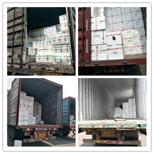 rb88随行版-rb88手机随行版登录入口