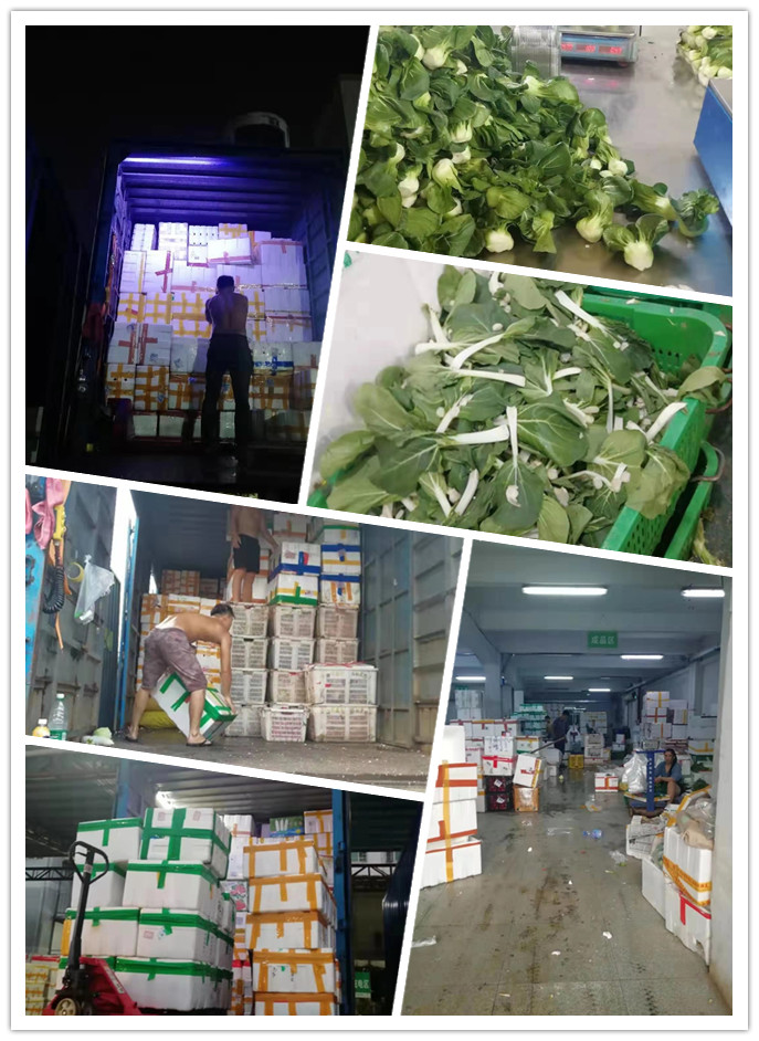 rb88随行版-rb88手机随行版登录入口