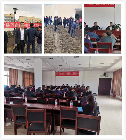 rb88随行版-rb88手机随行版登录入口