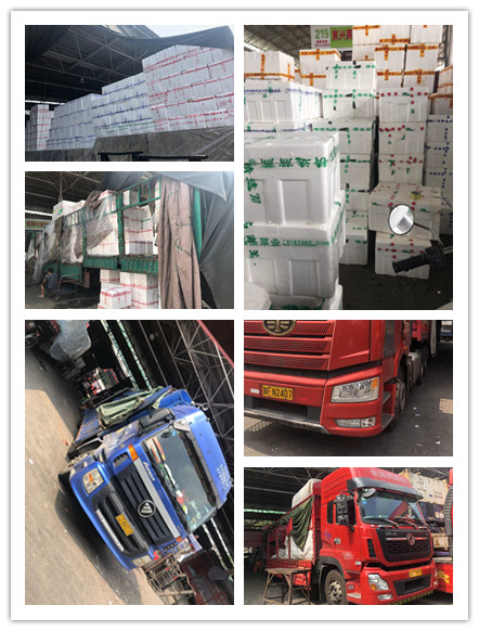 rb88随行版-rb88手机随行版登录入口