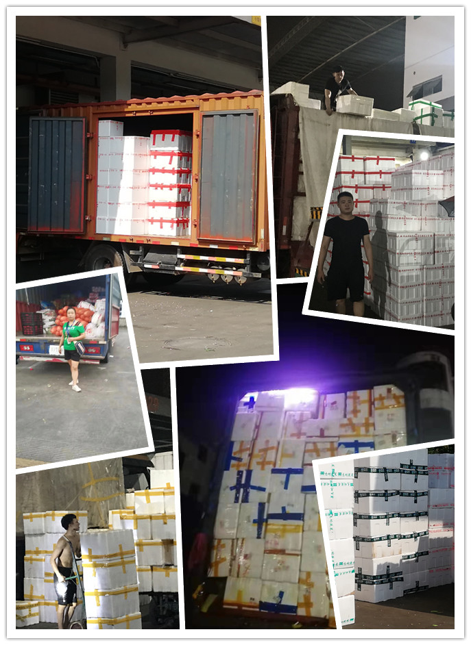 rb88随行版-rb88手机随行版登录入口