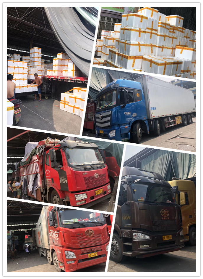 rb88随行版-rb88手机随行版登录入口