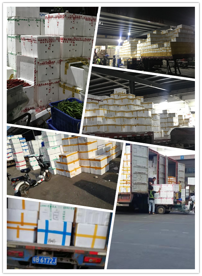 rb88随行版-rb88手机随行版登录入口