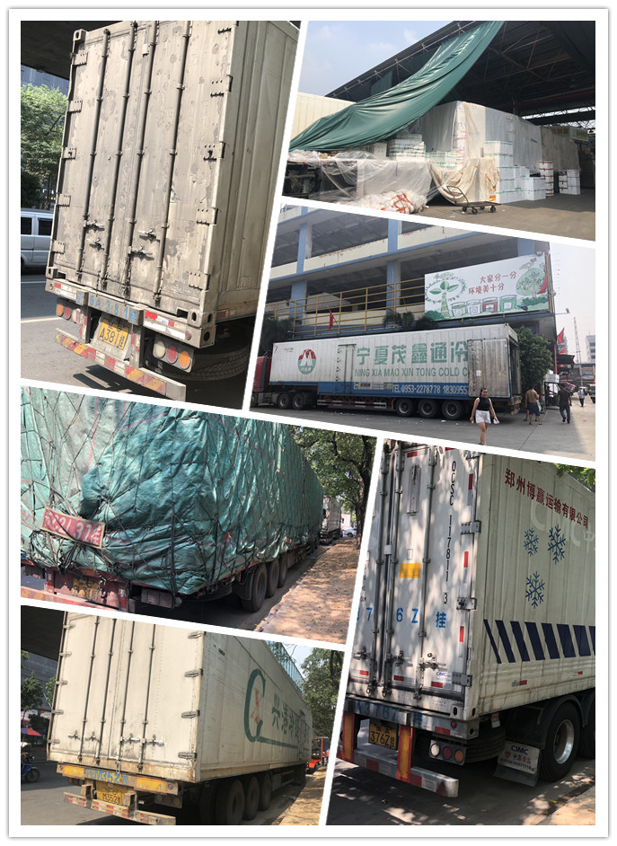 rb88随行版-rb88手机随行版登录入口