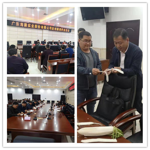 rb88随行版-rb88手机随行版登录入口