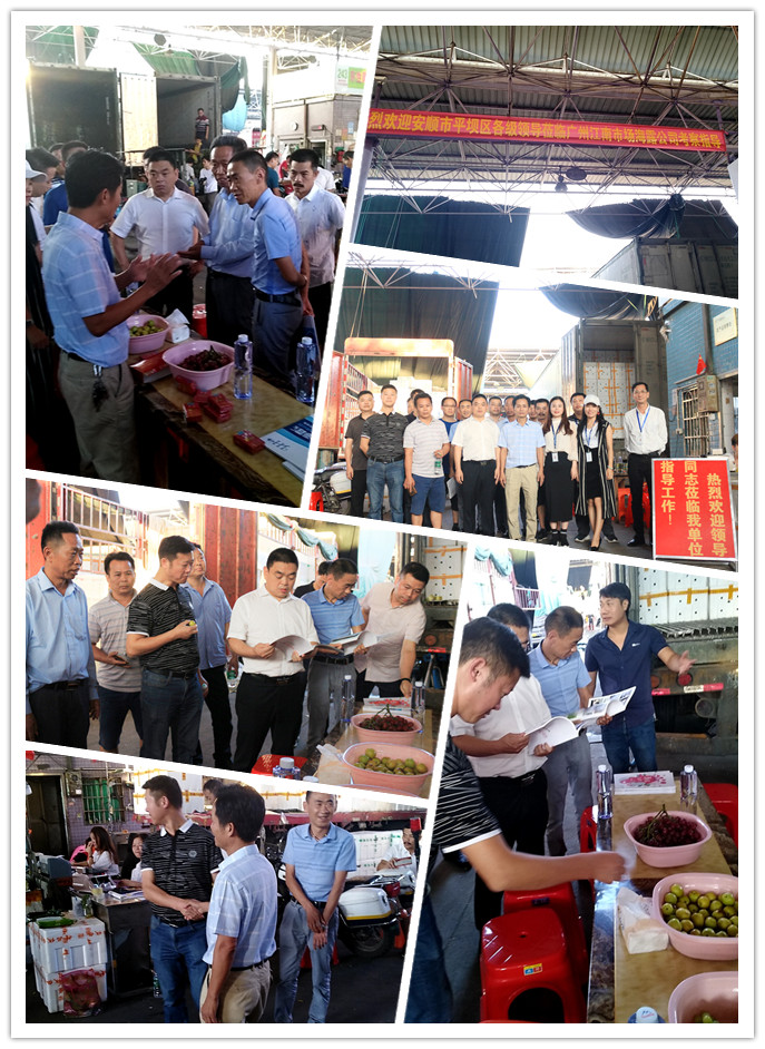 rb88随行版-rb88手机随行版登录入口