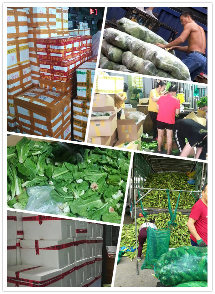 rb88随行版-rb88手机随行版登录入口