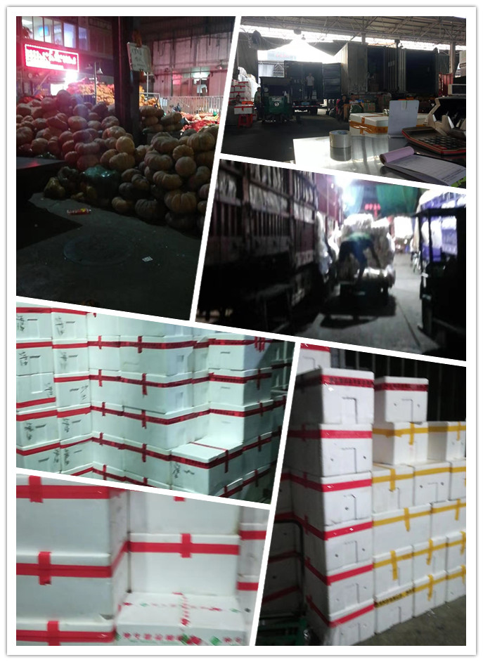 rb88随行版-rb88手机随行版登录入口