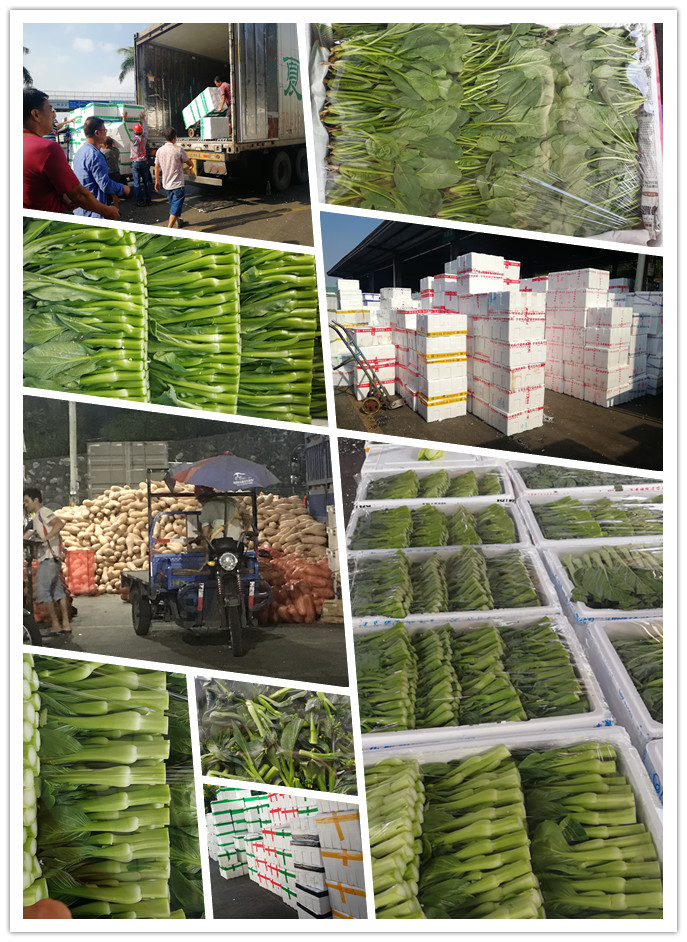 rb88随行版-rb88手机随行版登录入口