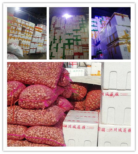 rb88随行版-rb88手机随行版登录入口