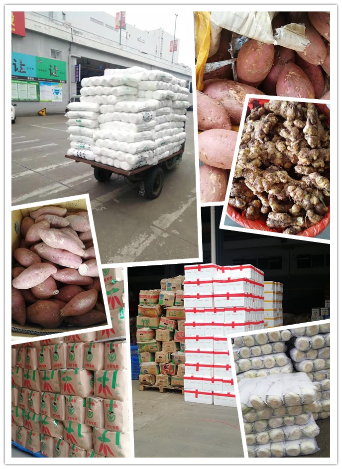 rb88随行版-rb88手机随行版登录入口