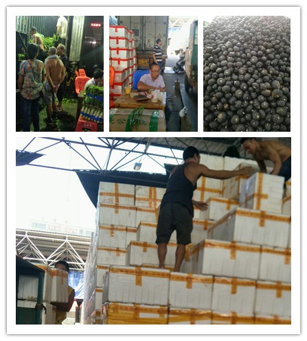 rb88随行版-rb88手机随行版登录入口