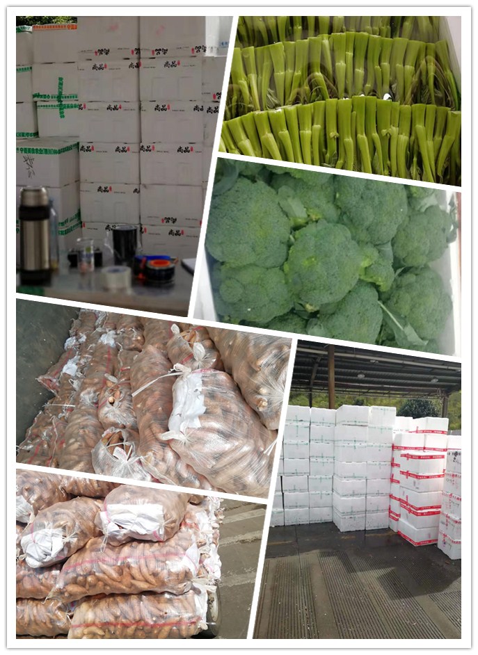 rb88随行版-rb88手机随行版登录入口