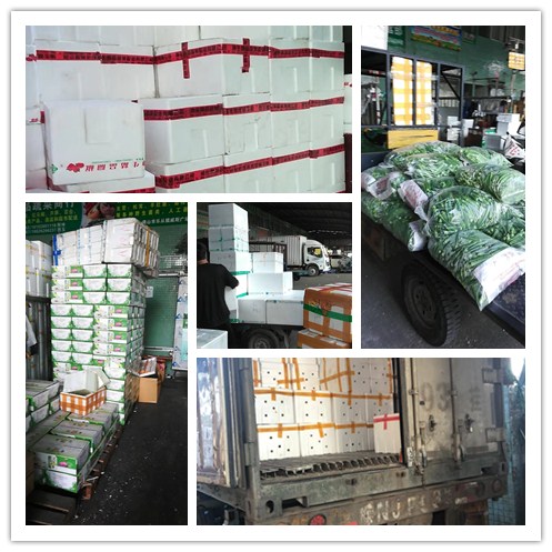 rb88随行版-rb88手机随行版登录入口