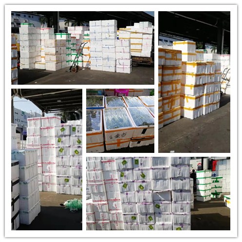 rb88随行版-rb88手机随行版登录入口