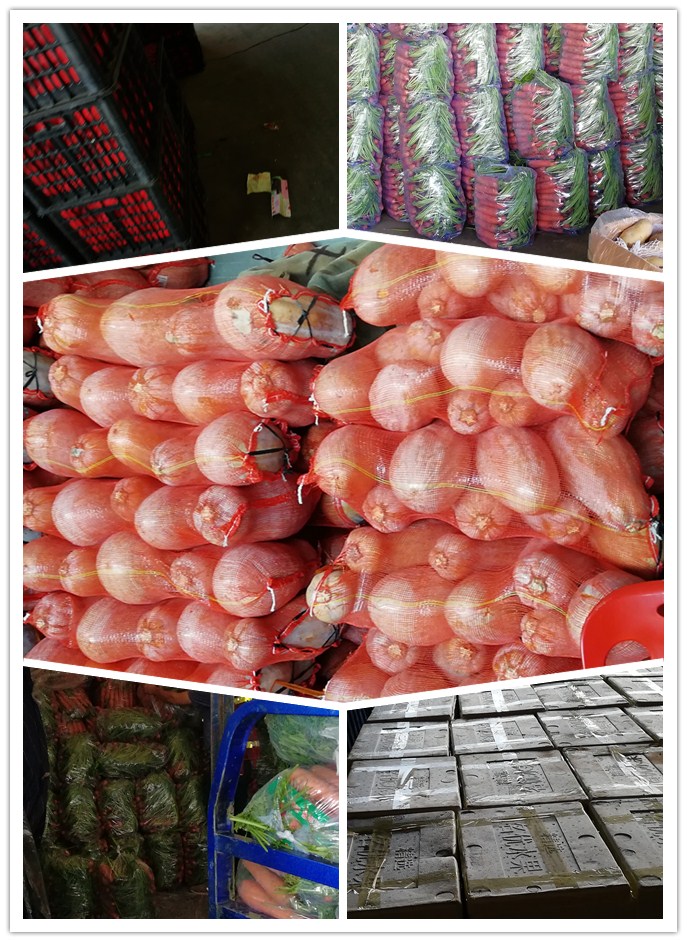 rb88随行版-rb88手机随行版登录入口