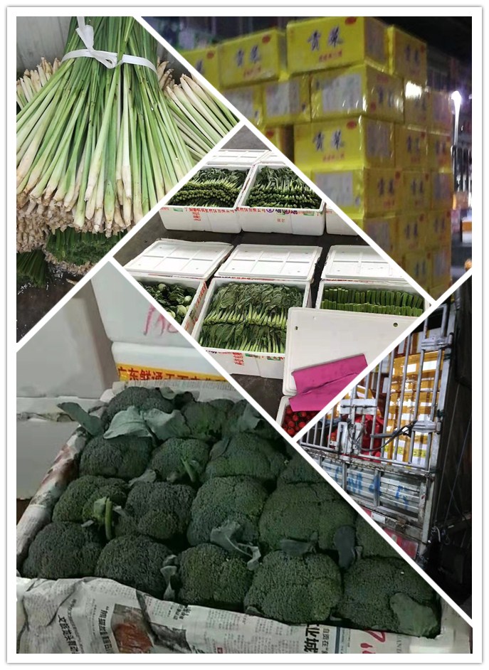 rb88随行版-rb88手机随行版登录入口