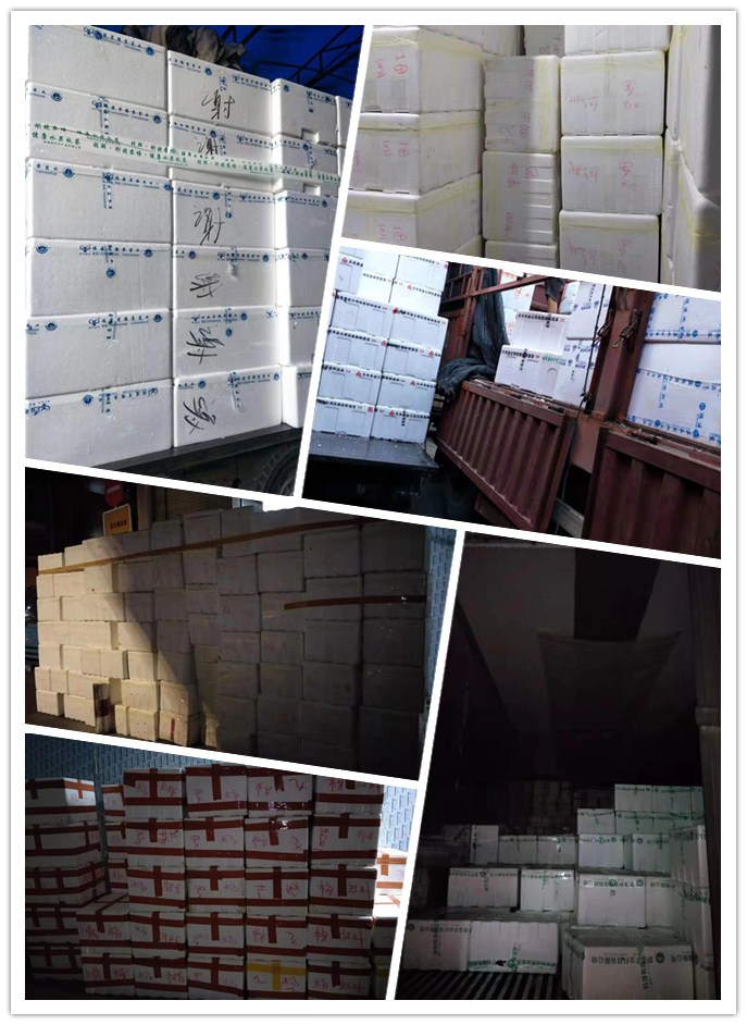 rb88随行版-rb88手机随行版登录入口