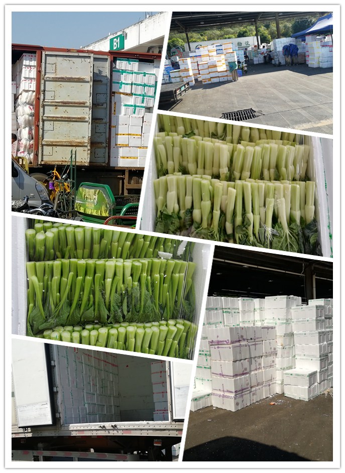 rb88随行版-rb88手机随行版登录入口