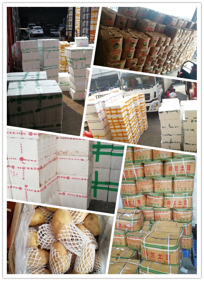 rb88随行版-rb88手机随行版登录入口