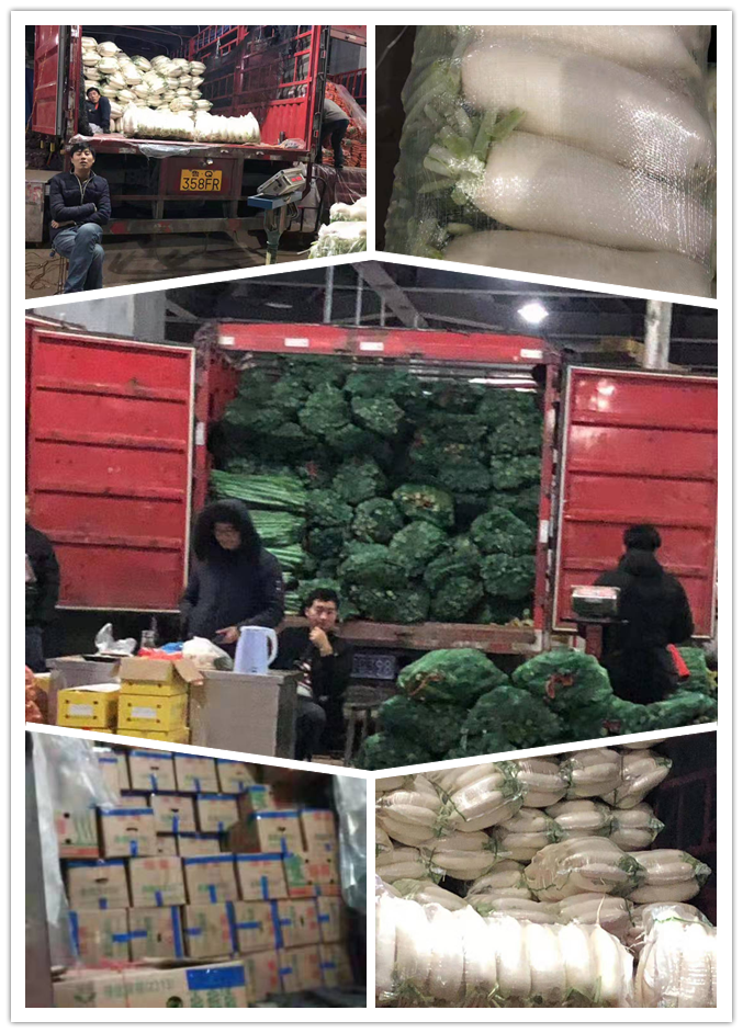 rb88随行版-rb88手机随行版登录入口