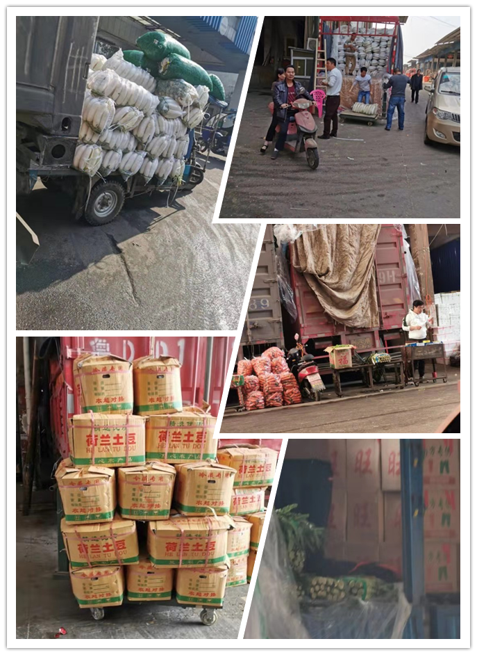 rb88随行版-rb88手机随行版登录入口