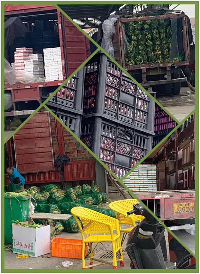 rb88随行版-rb88手机随行版登录入口