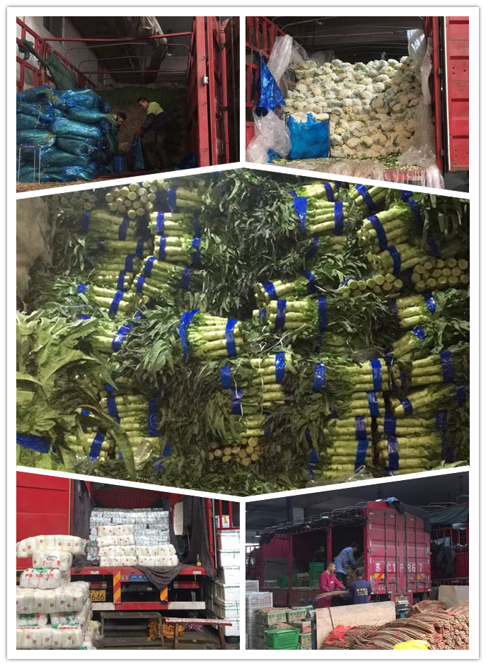 rb88随行版-rb88手机随行版登录入口