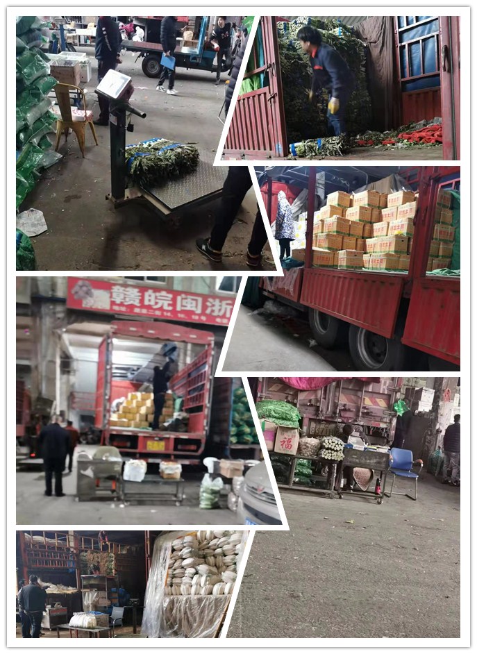 rb88随行版-rb88手机随行版登录入口