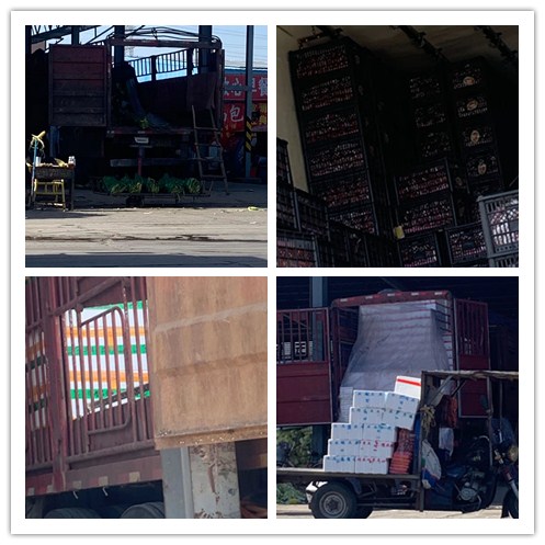 rb88随行版-rb88手机随行版登录入口