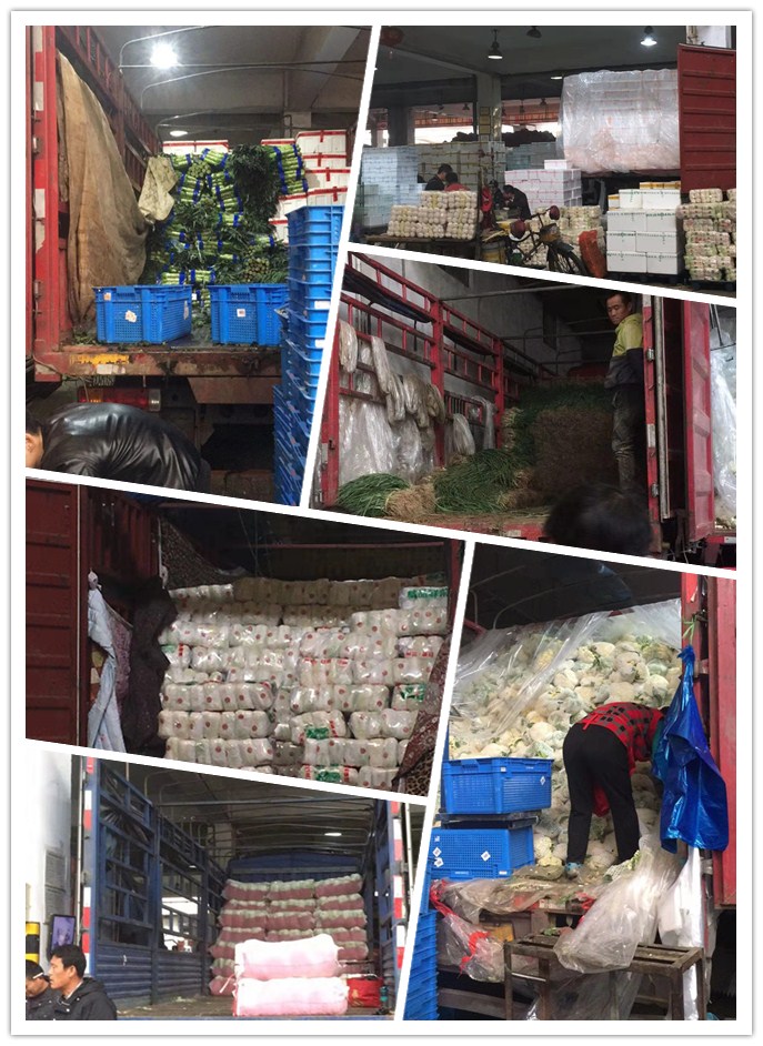 rb88随行版-rb88手机随行版登录入口