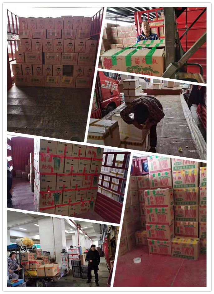 rb88随行版-rb88手机随行版登录入口