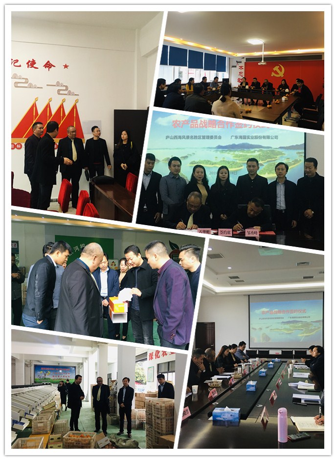 rb88随行版-rb88手机随行版登录入口