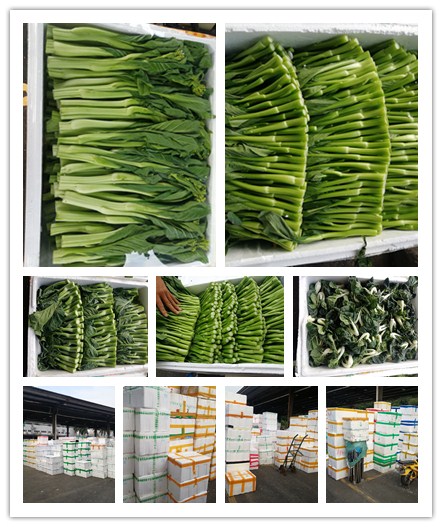 rb88随行版-rb88手机随行版登录入口