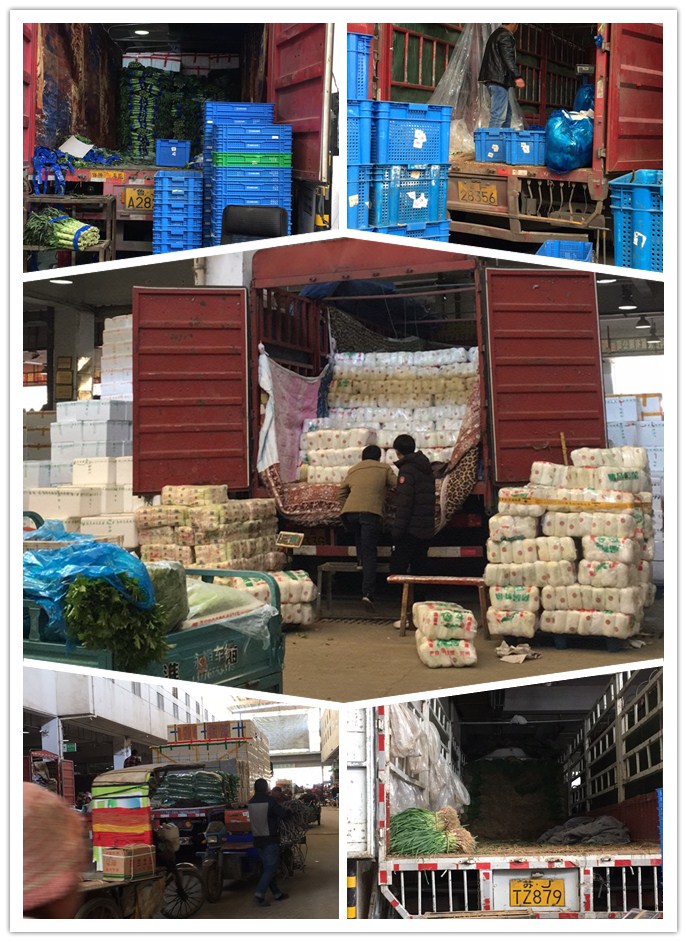 rb88随行版-rb88手机随行版登录入口